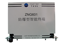 ZNG601防爆GPS